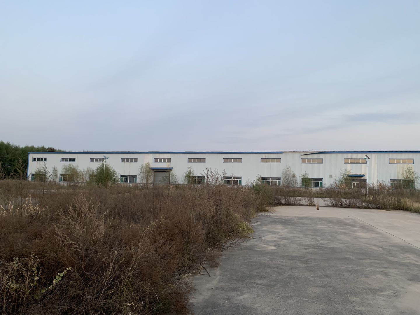 一个江苏商人的十年政府生意:引科技人才,获政府补贴,项目多数烂尾
