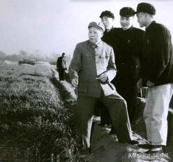 毛泽东一封直达生产小队的信,见证了他扭转农业危局的急迫心情
