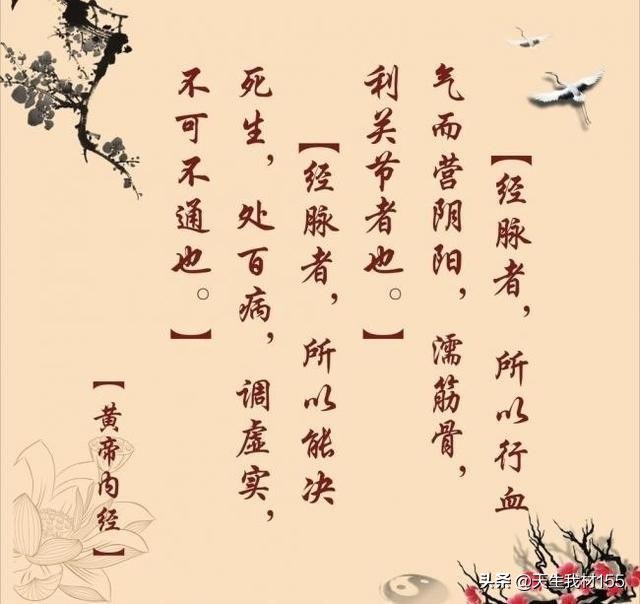 现代中医,用西医的实验思维来研究中医药已经走入死胡同