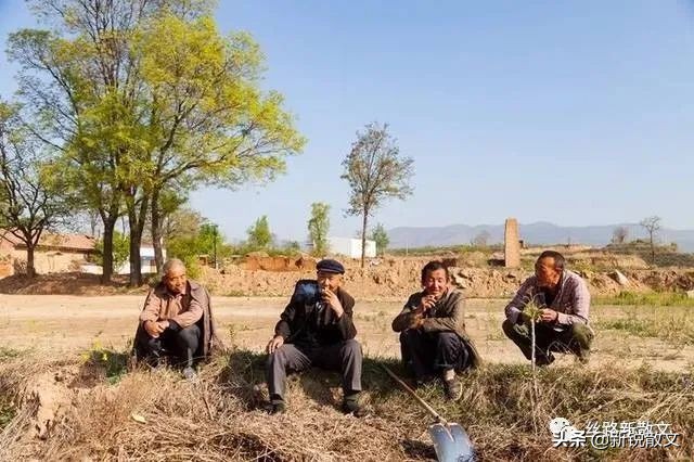 祖坟被侵占,老教师回老家解决问题,出钱出力还惹了一肚子气