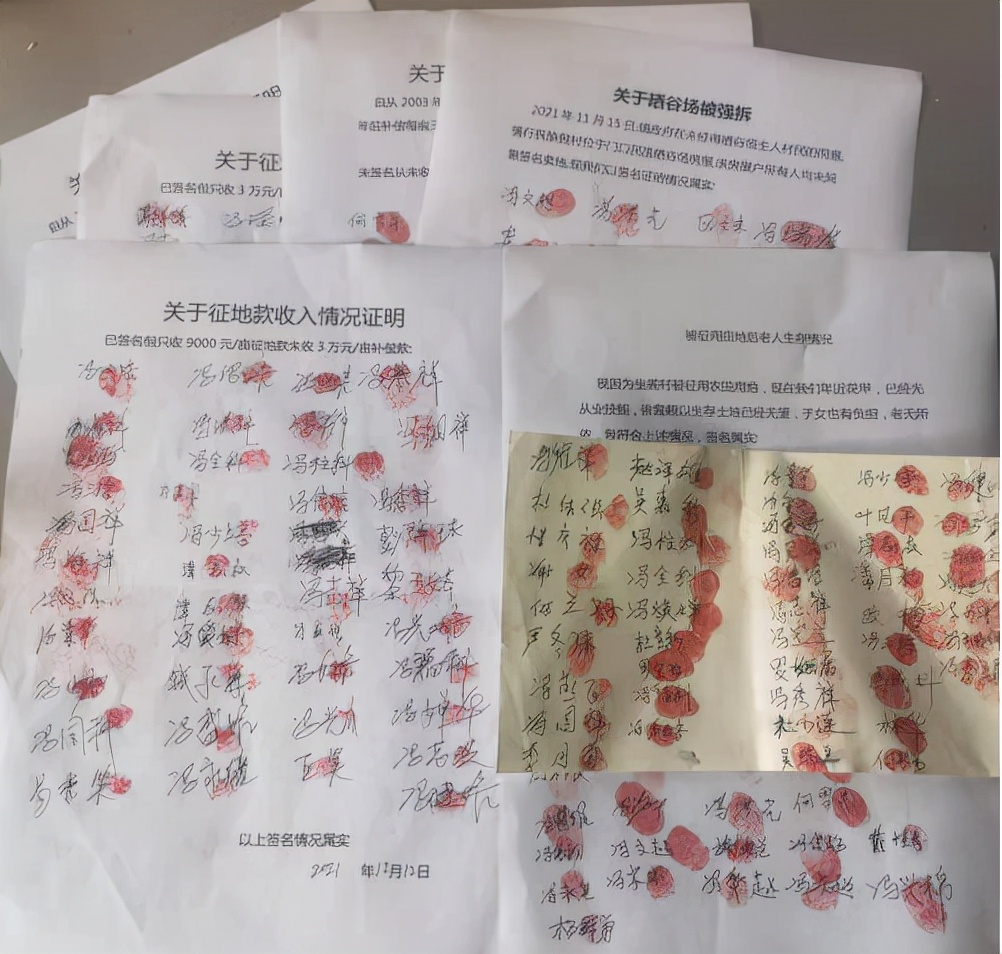 威胁,造假,征地十余年不补偿?若属实,镇政府有哪些违法行为?